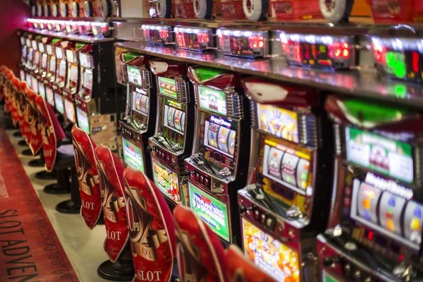 dog69 multi-sport and live casino interface